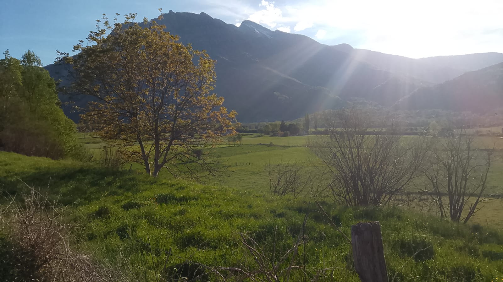 La vallée d'Aspe